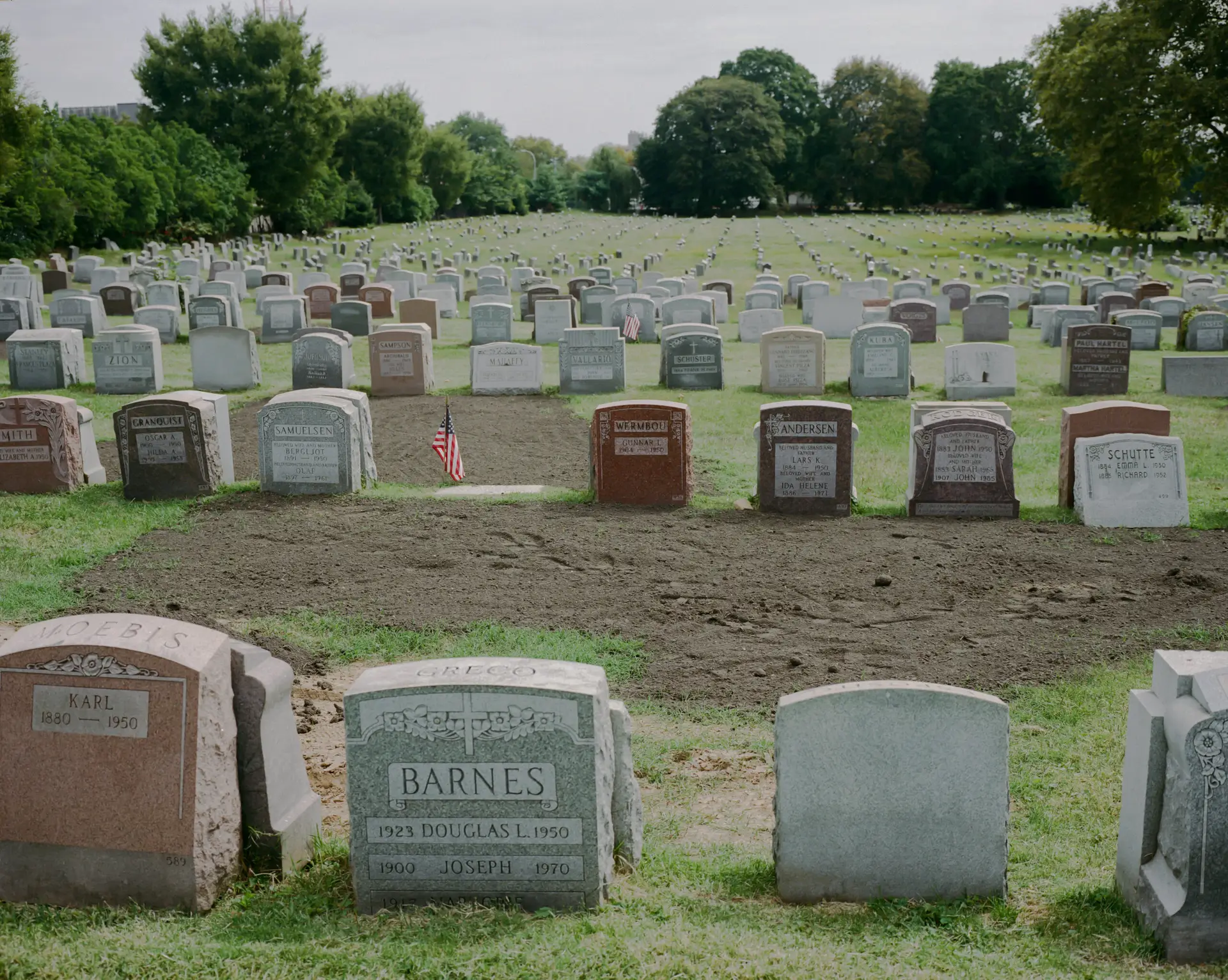 Magda Mosciapn @magdamos (2)