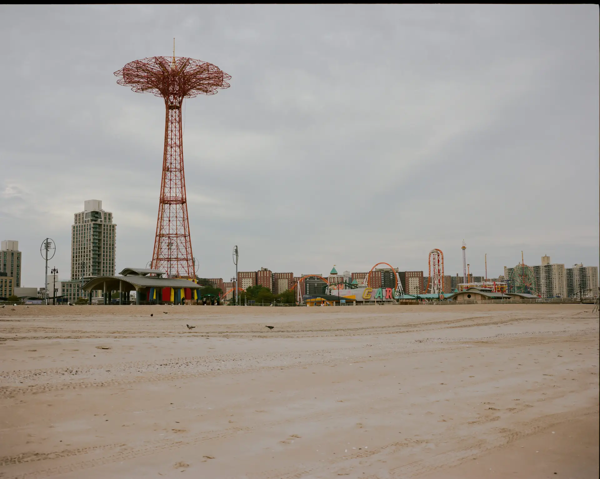 Magda Mosciapn @magdamos (5)